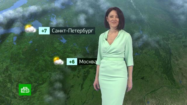 Утренний прогноз погоды на 20 марта.погода, прогноз погоды.НТВ.Ru: новости, видео, программы телеканала НТВ
