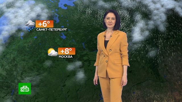    22 .,  ..Ru: , ,   