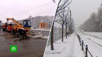 Под конец марта Петербург вновь завалило снегом