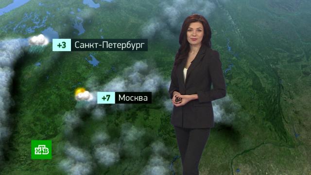 Утренний прогноз погоды на 31 марта.погода, прогноз погоды.НТВ.Ru: новости, видео, программы телеканала НТВ