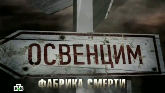 Фильм восьмой.«Освенцим — фабрика смерти».НТВ.Ru: новости, видео, программы телеканала НТВ