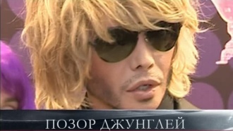 «Позор джунглей».«Позор джунглей».НТВ.Ru: новости, видео, программы телеканала НТВ