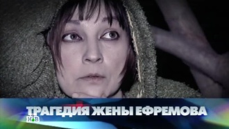 «  ».«  »..Ru: , ,   