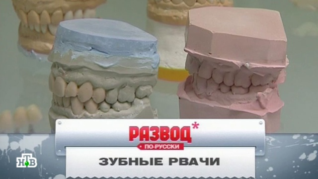 «Зубные рвачи».«Зубные рвачи».НТВ.Ru: новости, видео, программы телеканала НТВ