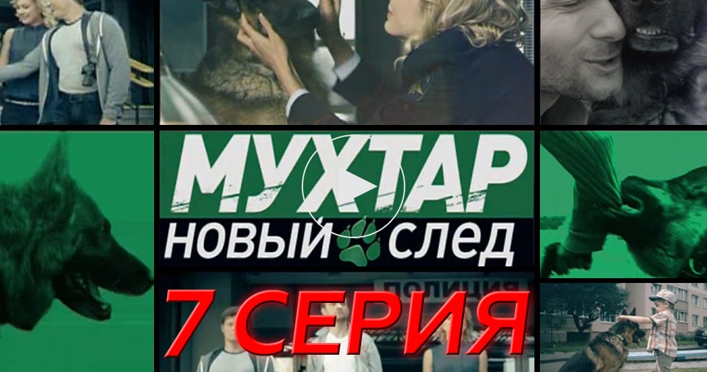 Возвращение мухтара 2 фото мухтара 2