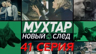 41-я серия.41-я серия.НТВ.Ru: новости, видео, программы телеканала НТВ