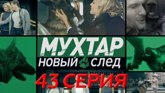43-я серия.43-я серия.НТВ.Ru: новости, видео, программы телеканала НТВ