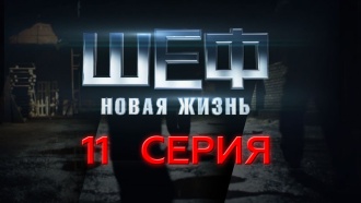 11-я — 14-я серии.11-я серия.НТВ.Ru: новости, видео, программы телеканала НТВ