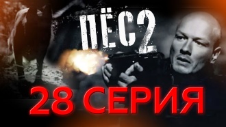 28-я серия. 28-я серия. НТВ.Ru: новости, видео, программы телеканала НТВ