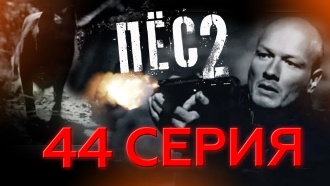 44-я серия. 44-я серия. НТВ.Ru: новости, видео, программы телеканала НТВ