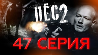 47-я серия. 47-я серия. НТВ.Ru: новости, видео, программы телеканала НТВ