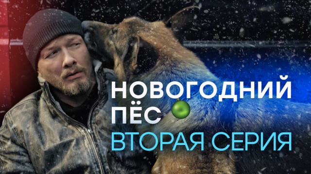 «Новогодний Пёс». 2-я серия.«Новогодний Пёс». 2-я серия.НТВ.Ru: новости, видео, программы телеканала НТВ
