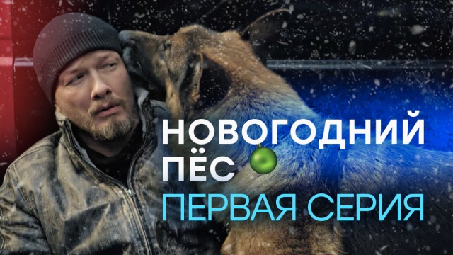 «Новогодний Пёс». 1-я серия.«Новогодний Пёс». 1-я серия.НТВ.Ru: новости, видео, программы телеканала НТВ