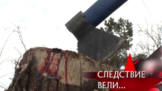 «Дом, где стекает кровь».«Дом, где стекает кровь».НТВ.Ru: новости, видео, программы телеканала НТВ