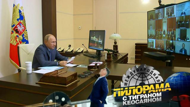 Как Владимир Путин вдохновлял артистов, кормил зверей и корил губернаторов.НТВ.Ru: новости, видео, программы телеканала НТВ