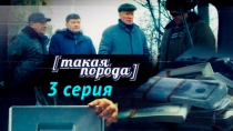 Сериал "Такая порода" смотреть онлайн. Серия 3