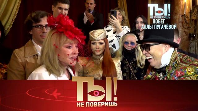 Ты не поверишь!артисты, знаменитости, скандалы, шоу-бизнес.НТВ.Ru: новости, видео, программы телеканала НТВ