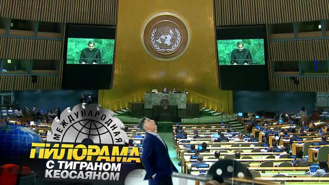 Кто и о чем блеял на Генассамблее ООН.НТВ.Ru: новости, видео, программы телеканала НТВ