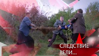 Выпуск от 3 октября 2021 года.«Мертвый лес».НТВ.Ru: новости, видео, программы телеканала НТВ