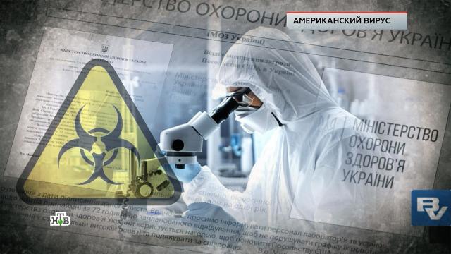 «Американский вирус».
«Американский вирус».
НТВ.Ru: новости, видео, программы телеканала НТВ «Американский вирус».
«Американский вирус».
НТВ.Ru: новости, видео, программы телеканала НТВ