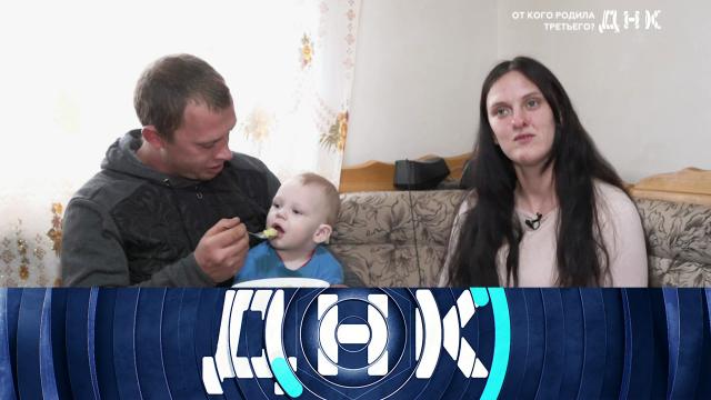 ДНК.НТВ.Ru: новости, видео, программы телеканала НТВ