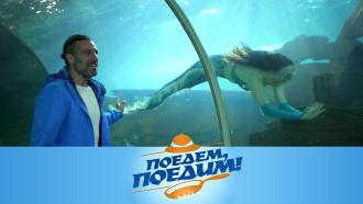 ������������ ����������� �������� �������� �&nbsp;���� �&nbsp;�������. &laquo;������, ������!&raquo;&nbsp; �&nbsp;������� �� ���.���.Ru: �������, �����, ��������� ���������� ���