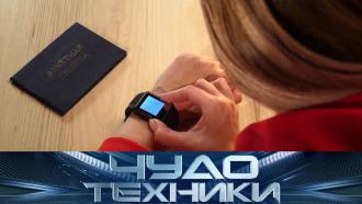 ��� ����� ��������� ����������� ���������, �&nbsp;�����&nbsp; ���� �������������� ��� �����. &laquo;���� �������&raquo;&nbsp; �&nbsp;����������� �� ���.���.Ru: �������, �����, ��������� ���������� ���