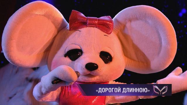 Заяц — «Нежность моя».НТВ.Ru: новости, видео, программы телеканала НТВ