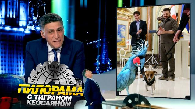 Невероятные приключения Михаила Саакашвили на Украине.НТВ.Ru: новости, видео, программы телеканала НТВ
