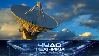  22  2022 .  ,       ..Ru: , ,   