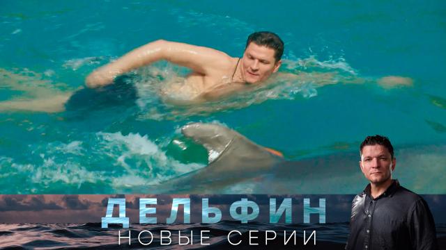 Детектив «Дельфин».НТВ, сериалы.НТВ.Ru: новости, видео, программы телеканала НТВ