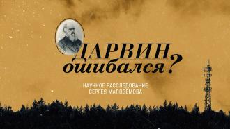 Выпуск от 28 мая 2022 года.«Дарвин ошибался?».НТВ.Ru: новости, видео, программы телеканала НТВ