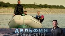 Сериал "Дельфин" 2 сезон смотреть онлайн. «Русалки». 2-я серия 16+  30 мая 2022