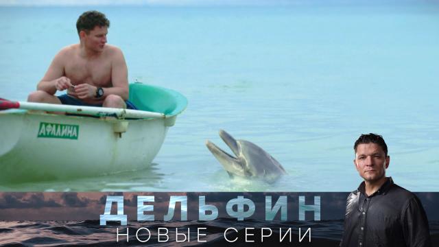 Детектив «Дельфин».НТВ, сериалы.НТВ.Ru: новости, видео, программы телеканала НТВ