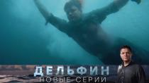 Сериал "Дельфин" 2 сезон смотреть онлайн. «Игра в прятки». 2-я серия 16+  3 июня 2022