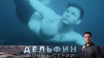 Сериал "Дельфин" 2 сезон смотреть онлайн. «Чужая невеста». 1-я серия 16+  7 июня 2022