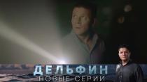 Сериал "Дельфин" 2 сезон смотреть онлайн. «Двойная ловушка». 2-я серия 16+  8 июня 2022