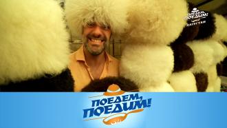   11  2022 .:  ,      -..Ru: , ,   