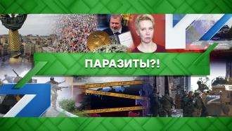 Выпуск от 22 июня 2022 года.Паразиты?!НТВ.Ru: новости, видео, программы телеканала НТВ