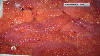 « ».« »..Ru: , ,   
