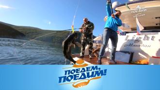 Магадан: рыбалка в Охотском море, встреча с медведем, гастрономический покер и кушияки в голубичном соусе