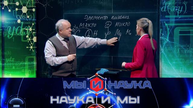 Мы и наука. Наука и мы.НТВ.Ru: новости, видео, программы телеканала НТВ
