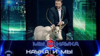   8  2022 . 10    ?.Ru: , ,   