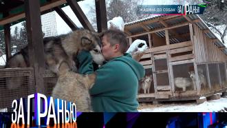 18 января 2023 года.«Жадина до собак».НТВ.Ru: новости, видео, программы телеканала НТВ