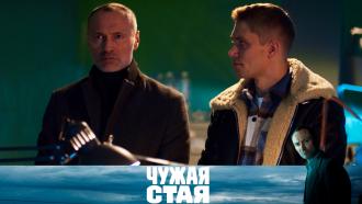 Чужая стая вторая