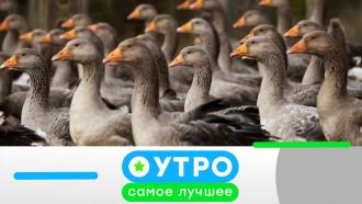 3  2023 .3  2023 ..Ru: , ,   