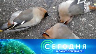 14  2023 . 19:20.14  2023 . 19:20..Ru: , ,   