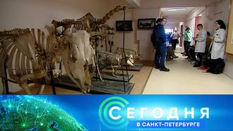 3  2023 . 19:20.3  2023 . 19:20..Ru: , ,   