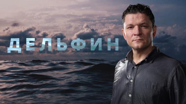Дельфин.НТВ.Ru: новости, видео, программы телеканала НТВ